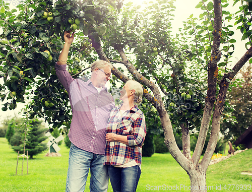 Image of senior couple with apple tree at summer garden