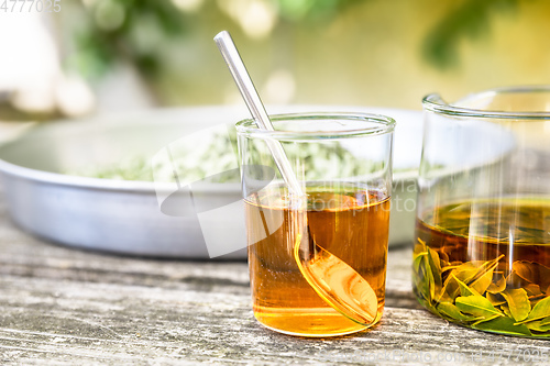 Image of verbena tea on old wooden planks