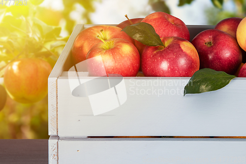 Image of Red apples in wooden box on table