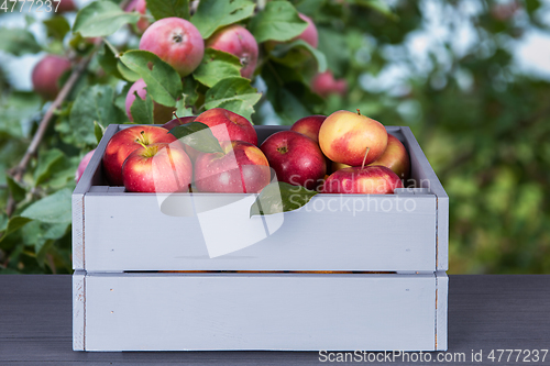 Image of Red apples in wooden box on table