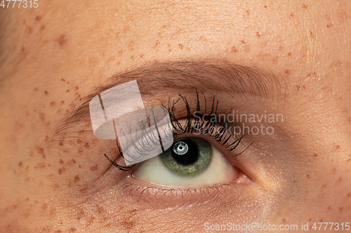 Image of Beautiful young woman\'s eye close-up, perfect skincare concept