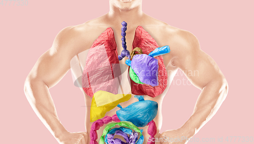 Image of We are what we eat - concept of environmental pollution of plastic