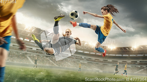 Image of Female soccer or football players kicking ball at the stadium