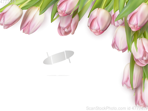 Image of Tulips isolated on white. EPS 10