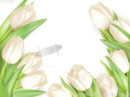 Image of Bouquet of white tulips. EPS 10