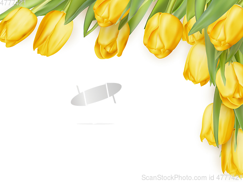 Image of Isolated tulip frame. EPS 10