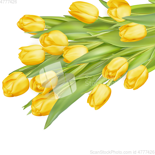 Image of Bouquet of yellow tulips. EPS 10