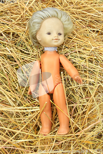 Image of doll lost on the hay