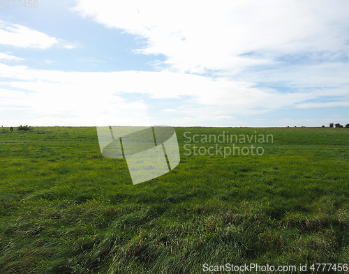 Image of English country panorama in Salisbury