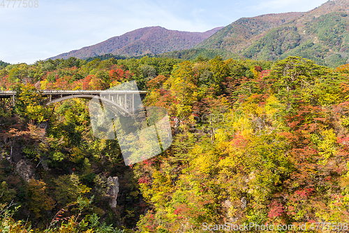 Image of Naruko canyon in Japan