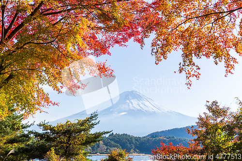 Image of Lake kawaguchiko and Mountain fuji