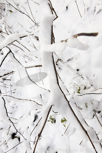 Image of Winter park with snow