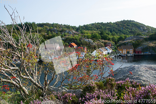 Image of Rossnes, Nordfjorden, Norway