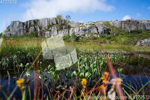 Image of Way to the Preikestolen, Rogaland, Norway