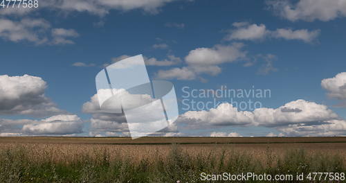 Image of landscape of wheat field at harvest