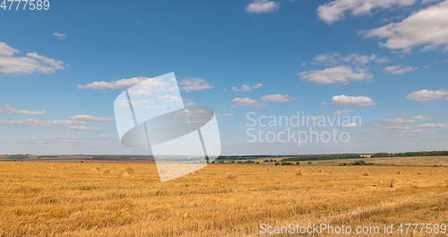 Image of landscape of wheat field at harvest