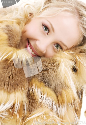 Image of fur