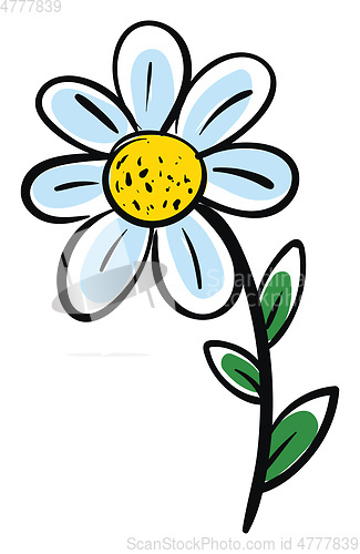 Image of White chamomile flower with green leafs vector illustration on w