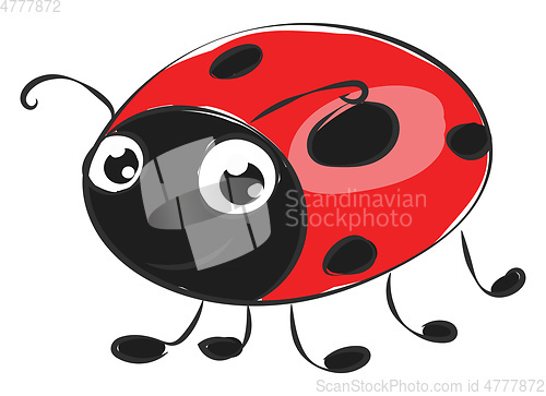 Image of Cartoon cute little ladybird vector or color illustration