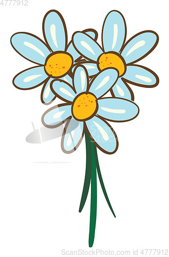 Image of Vector illustration on white background of a bouquet of daisies 