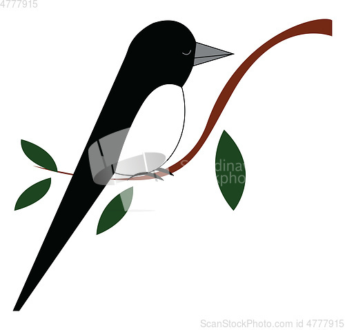 Image of Black bird at a tree branch, vector color illustration.