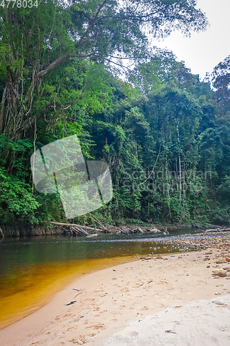 Image of River in Jungle rainforest Taman Negara national park, Malaysia