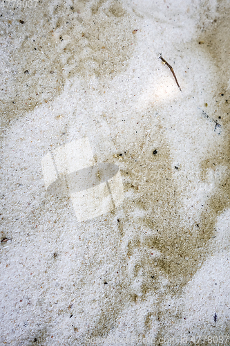 Image of Turtle baby footprints on a tropical beach