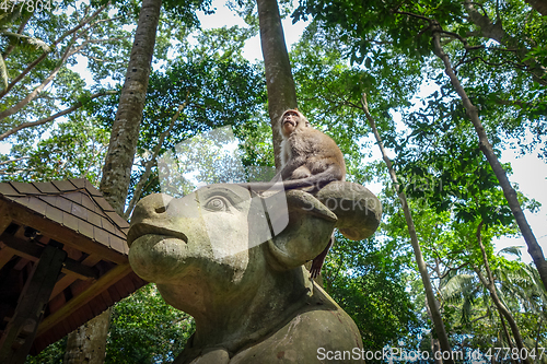 Image of Monkey on a cow statue in the Monkey Forest, Ubud, Bali, Indones