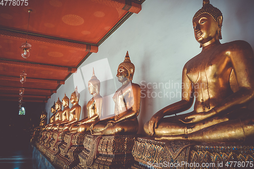 Image of Buddha statues in Wat Pho, Bangkok, Thailand