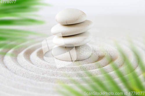 Image of Zen natural japanese garden background