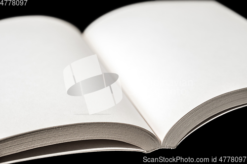Image of Open blank book on black background