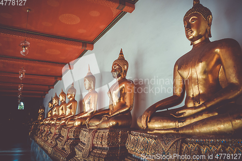 Image of Buddha statues in Wat Pho, Bangkok, Thailand