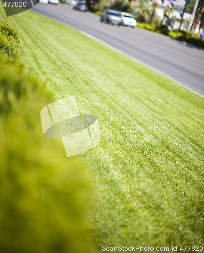 Image of grass and cars