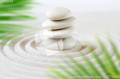 Image of Zen natural japanese garden background