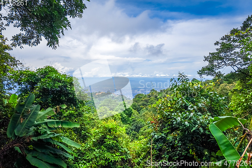 Image of Chiang Mai, mountains and jungle landscape, Thailand