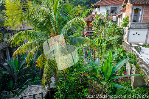 Image of Houses in jungle, Ubud, Bali, Indonesia