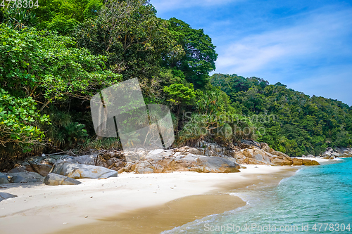 Image of Turtle Beach, Perhentian Islands, Terengganu, Malaysia