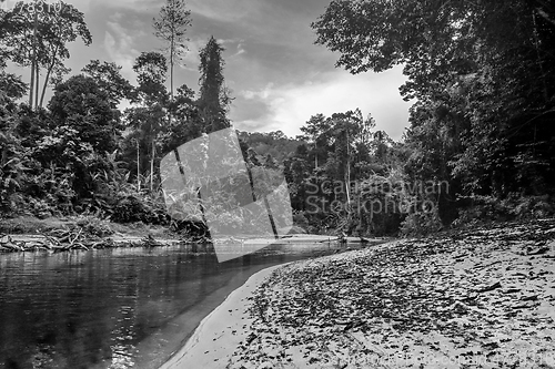 Image of River in Jungle rainforest Taman Negara national park, Malaysia