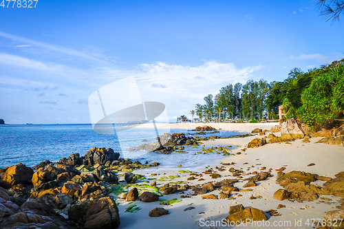 Image of Tropical beach in Koh Lipe, Thailand