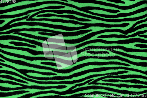 Image of Green Zebra fur background texture