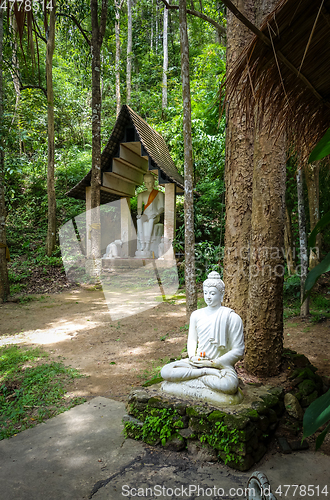 Image of Buddha statue in jungle, Wat Palad, Chiang Mai, Thailand