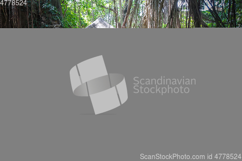 Image of Temple in the Monkey Forest, Ubud, Bali, Indonesia