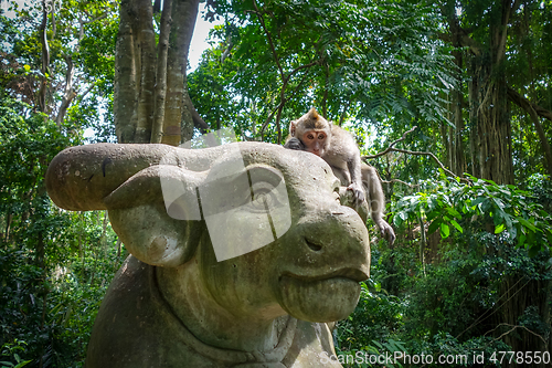 Image of Monkey on a cow statue in the Monkey Forest, Ubud, Bali, Indones