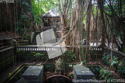 Image of Temple in the Monkey Forest, Ubud, Bali, Indonesia