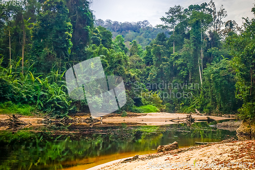 Image of River in Jungle rainforest Taman Negara national park, Malaysia