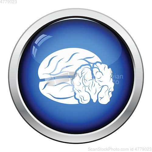 Image of Walnut icon