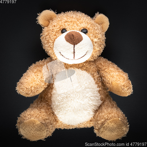 Image of teddy bear isolated on black background