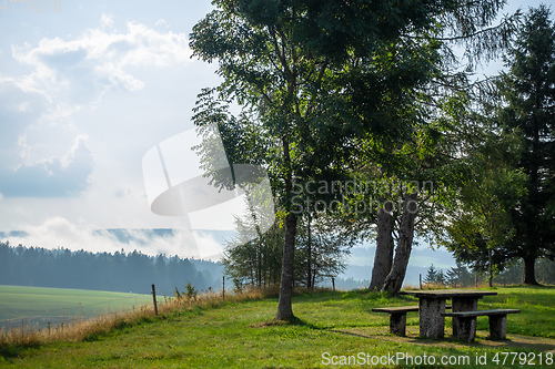 Image of misty landscape with trees