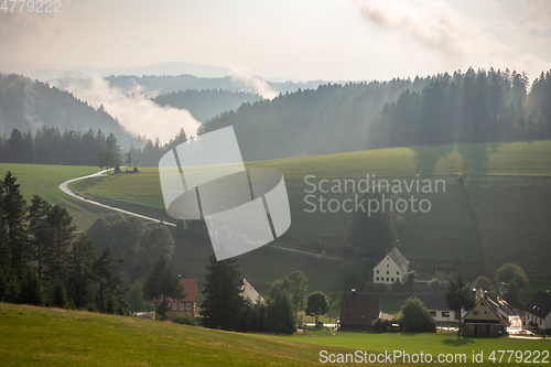 Image of misty landscape with trees