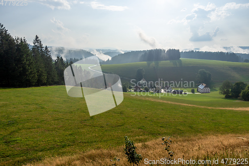 Image of misty landscape with trees